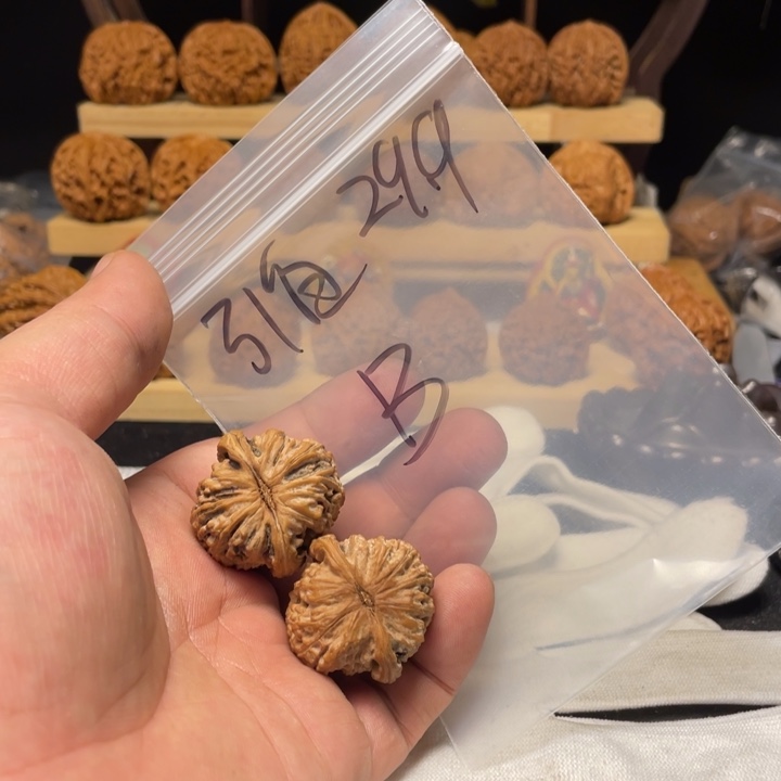 B***e把件文玩核桃白狮