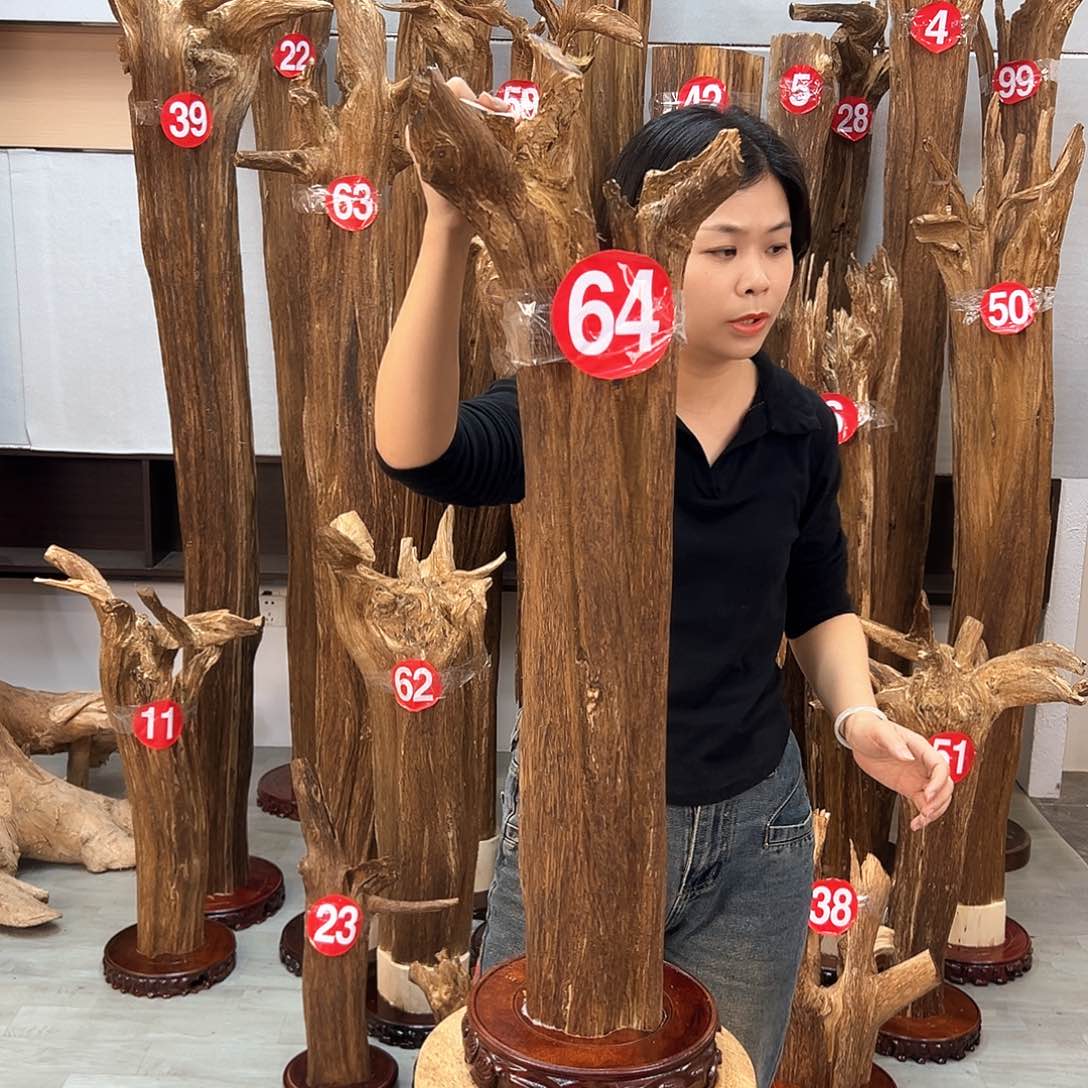 摆件沉香沉香摆件