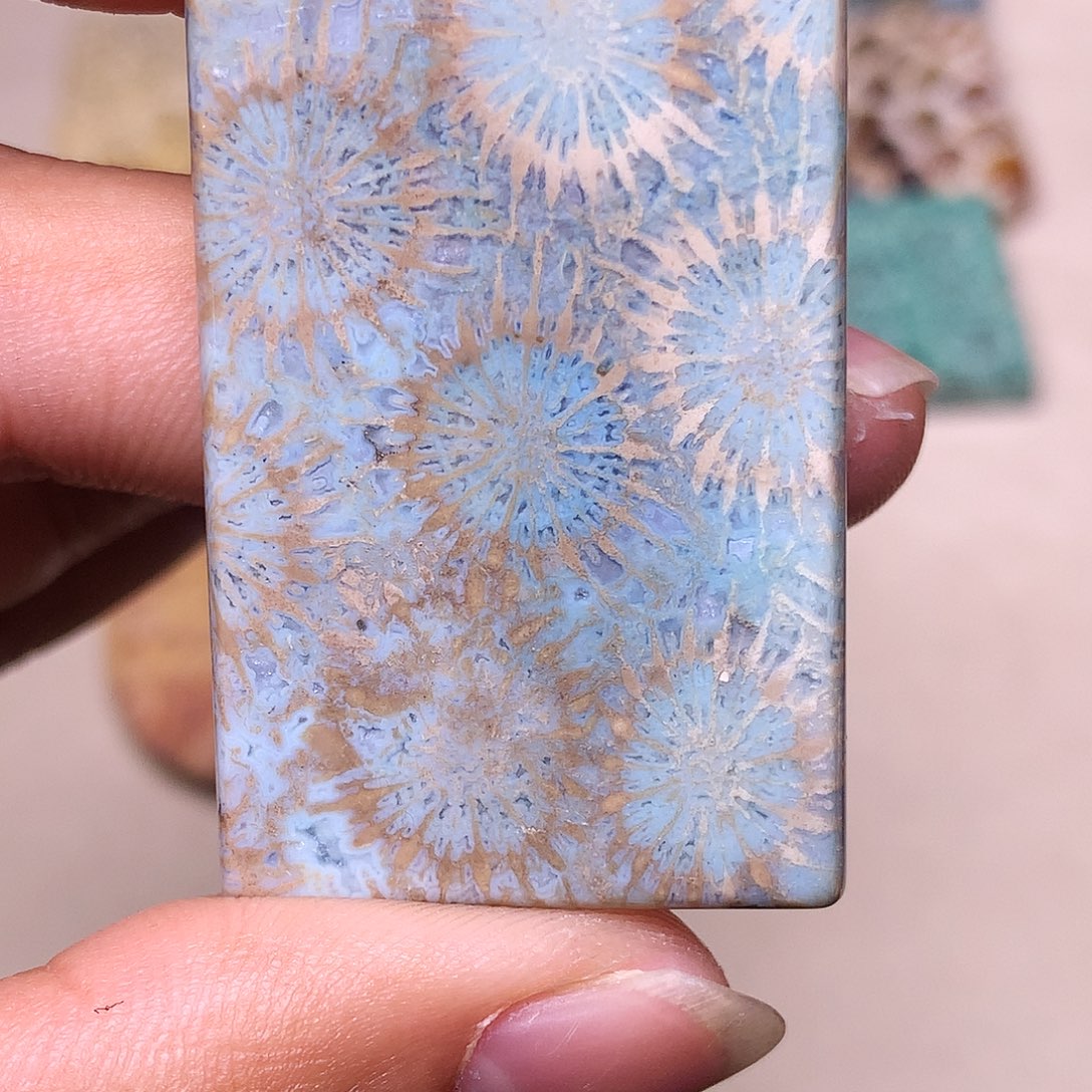 获***不硅化玉合金珊瑚玉