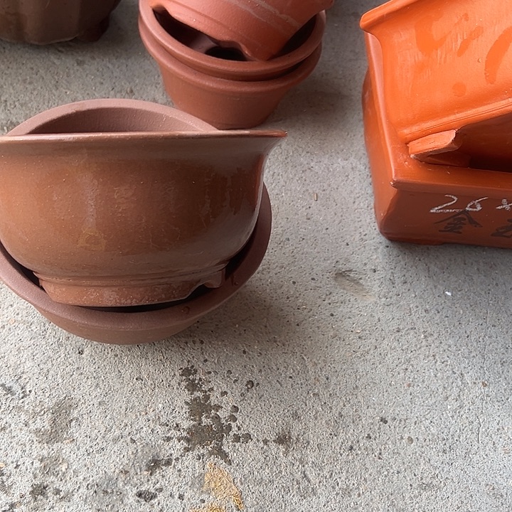 13+13查林小碗花盆花盆花盆