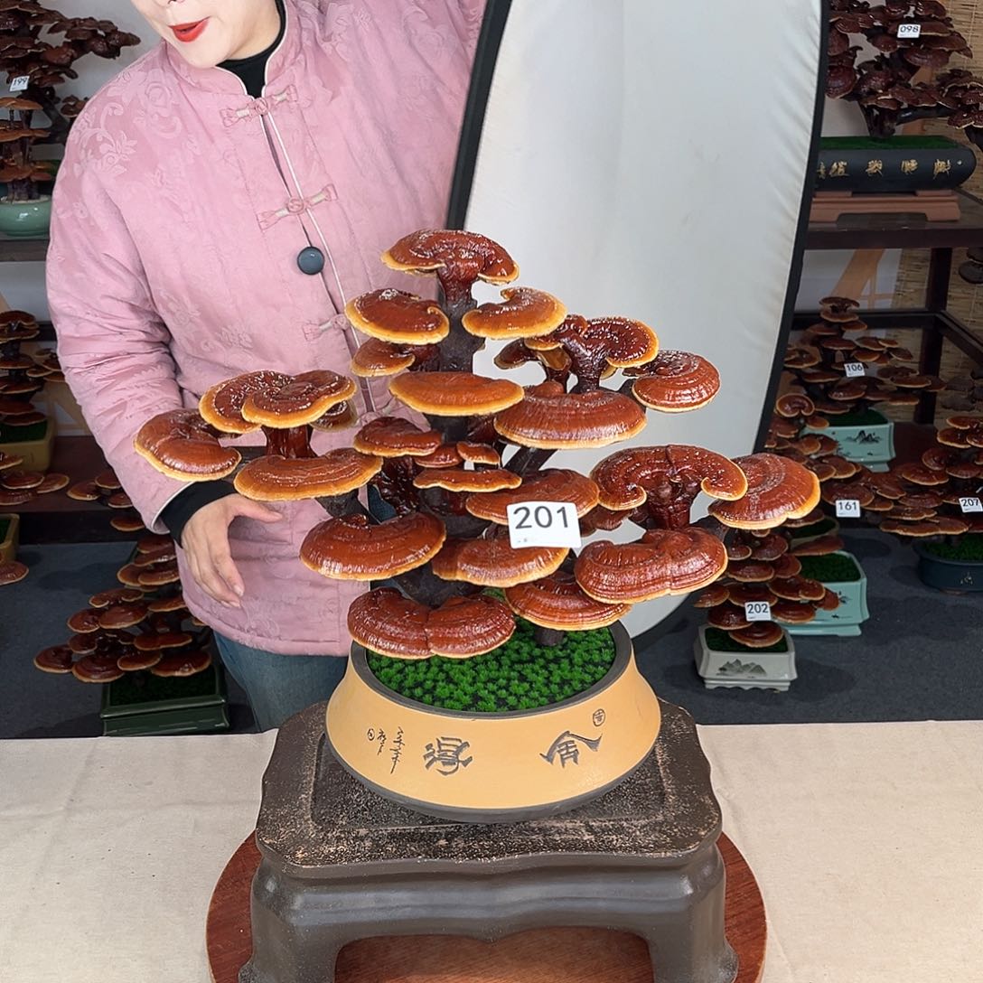 万事如意88888201