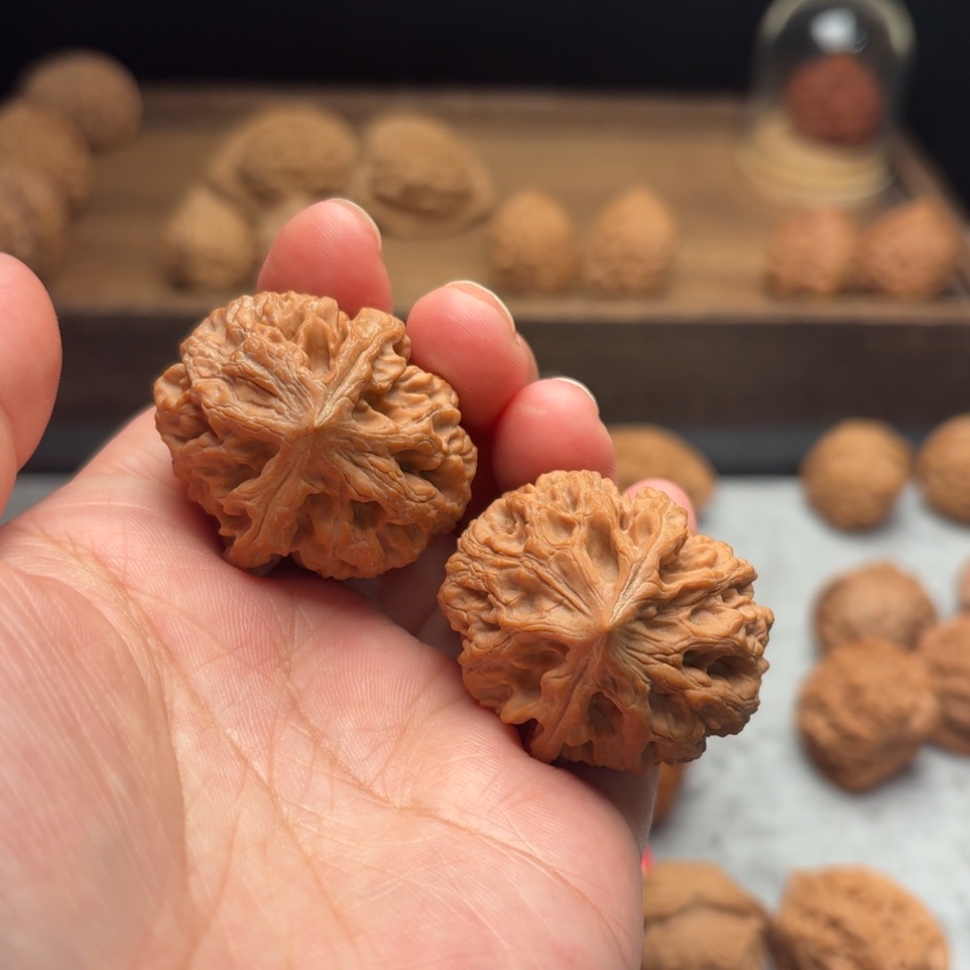 文玩核桃吊坠太行龙纹【3506】