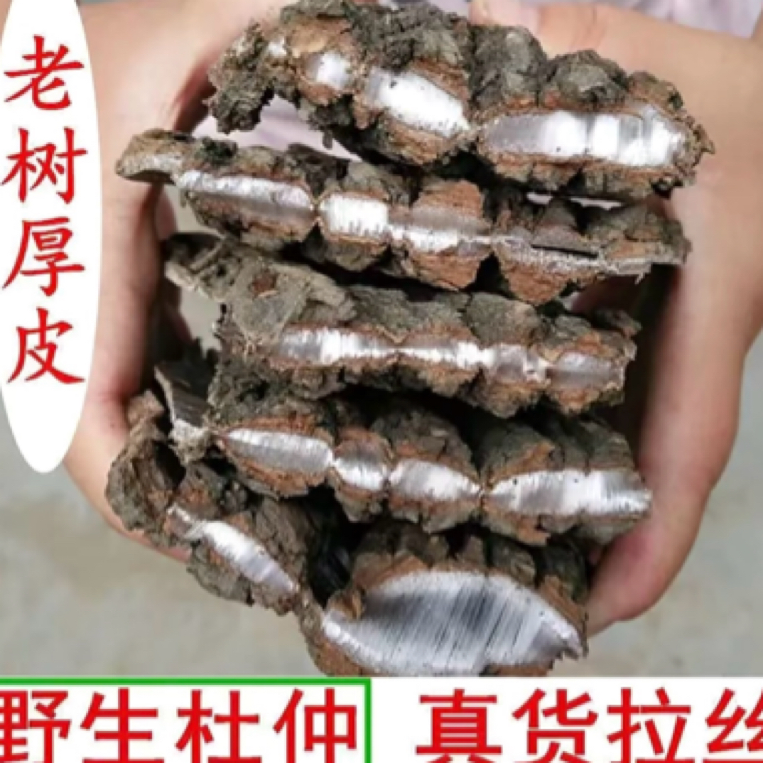 【杜仲】野生老树杜仲泡茶泡酒