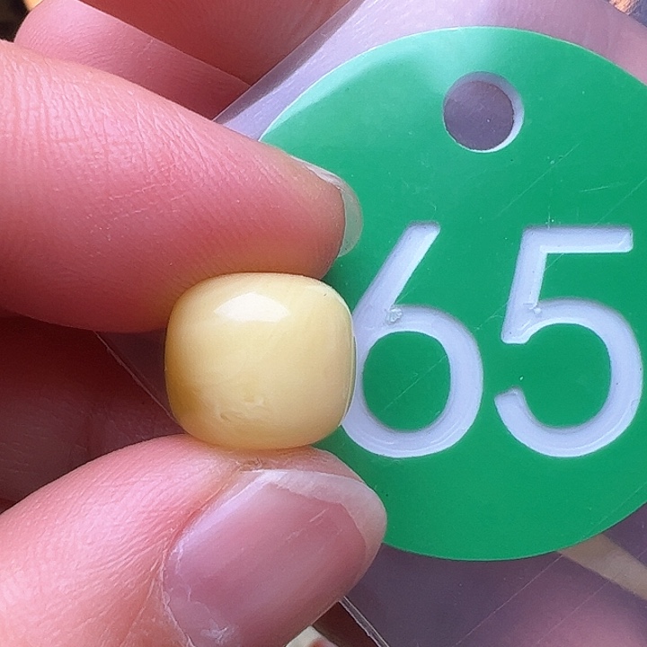 蜜蜡裸石未镶嵌105/9.5m m