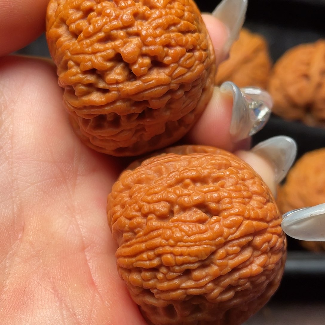 文玩核桃把件秦岭山脉核桃