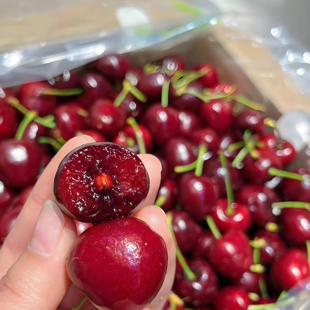 JD桑缇娜车厘子海运/斤桑提娜智利