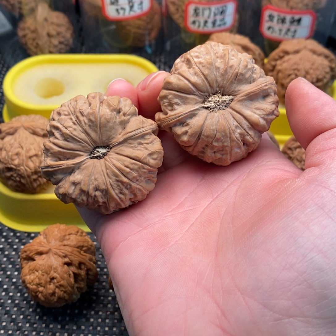 橄榄核手串/手链孟****】南瓜墩