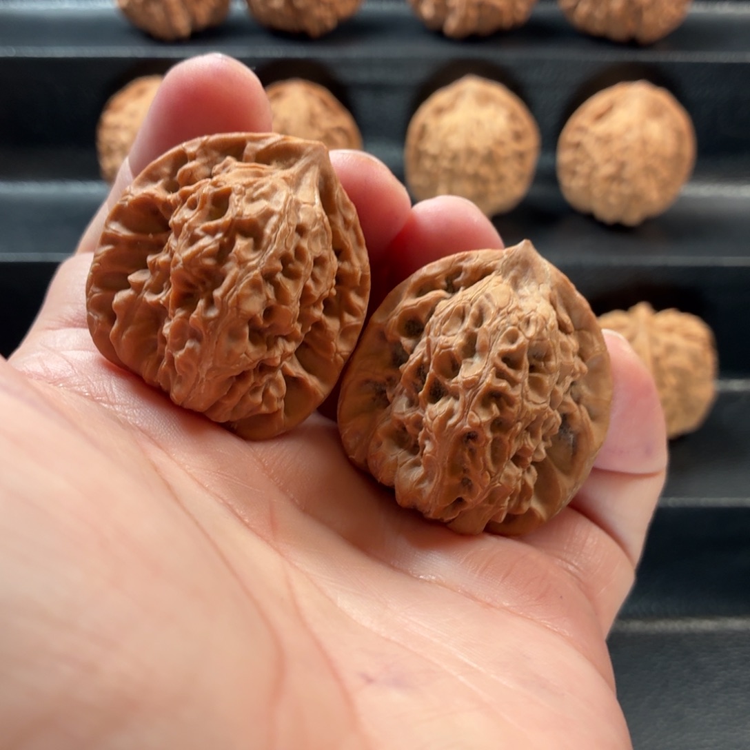 秦***哥桃核把件蓟县山地白蛇谷37