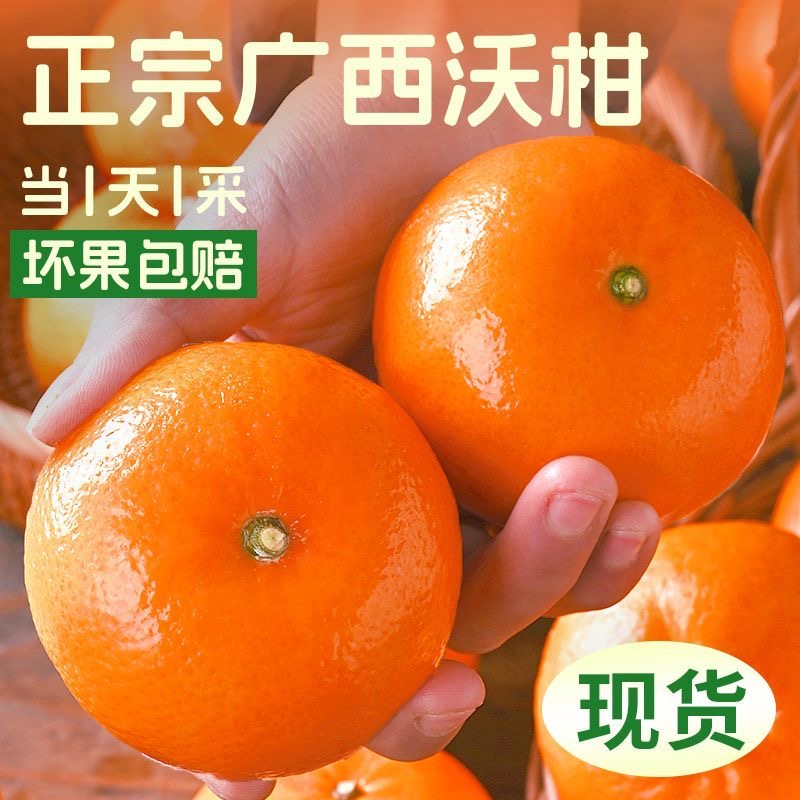 【格格专属】正宗广西武鸣沃柑当季新鲜水果涌泉蜜桔香甜皮薄爆汁