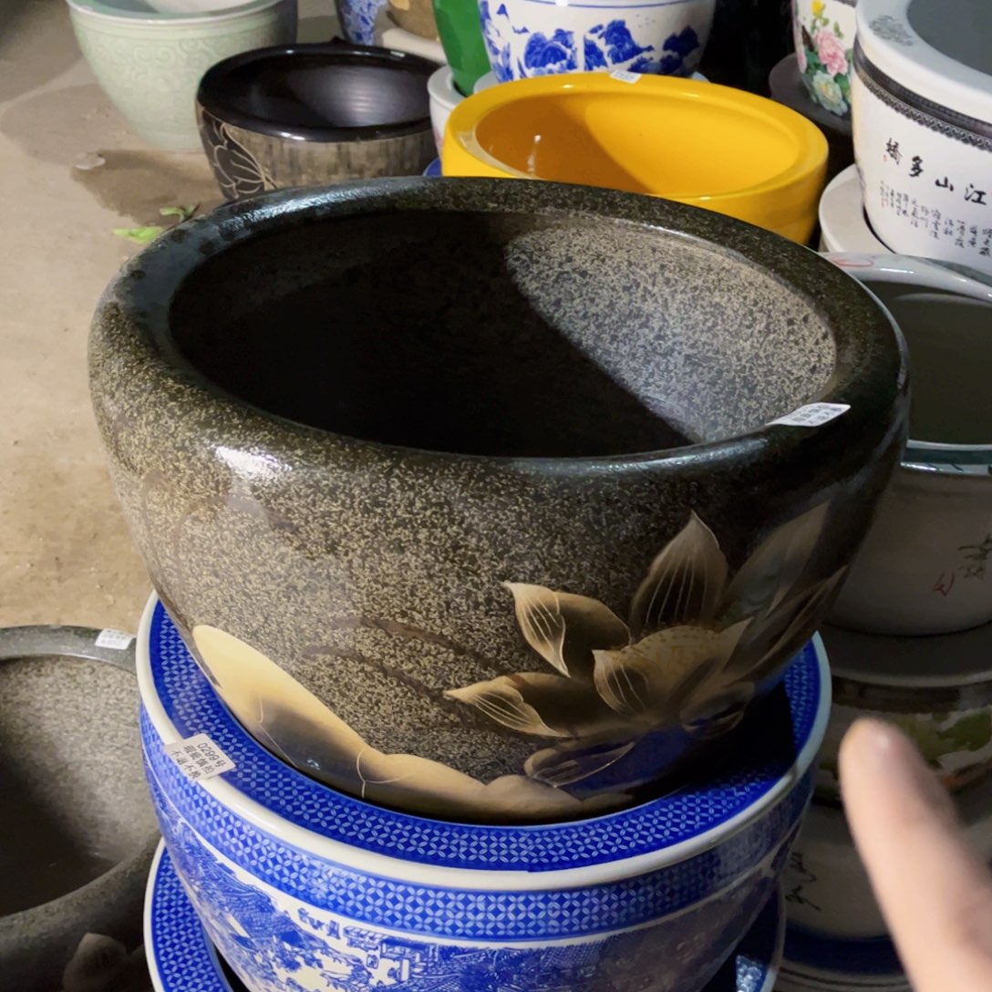 瓷片大头黄荷50全8888888888