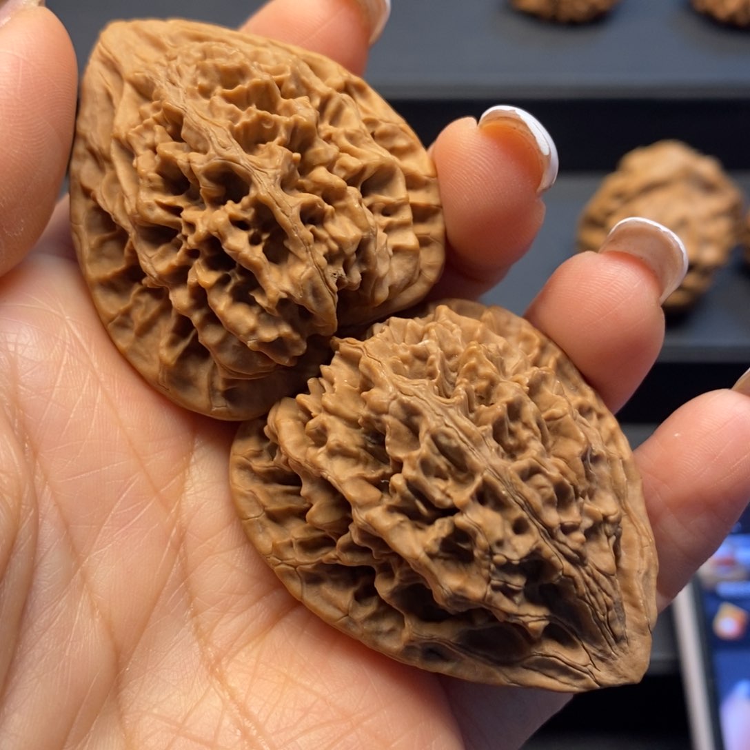 秦岭南风雨兼程走好脚下