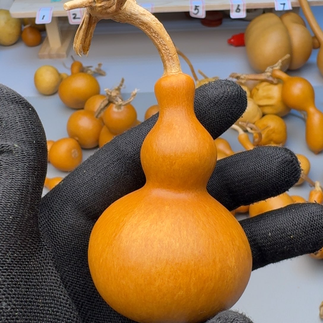 郁***肉葫芦葫芦葫芦葫芦