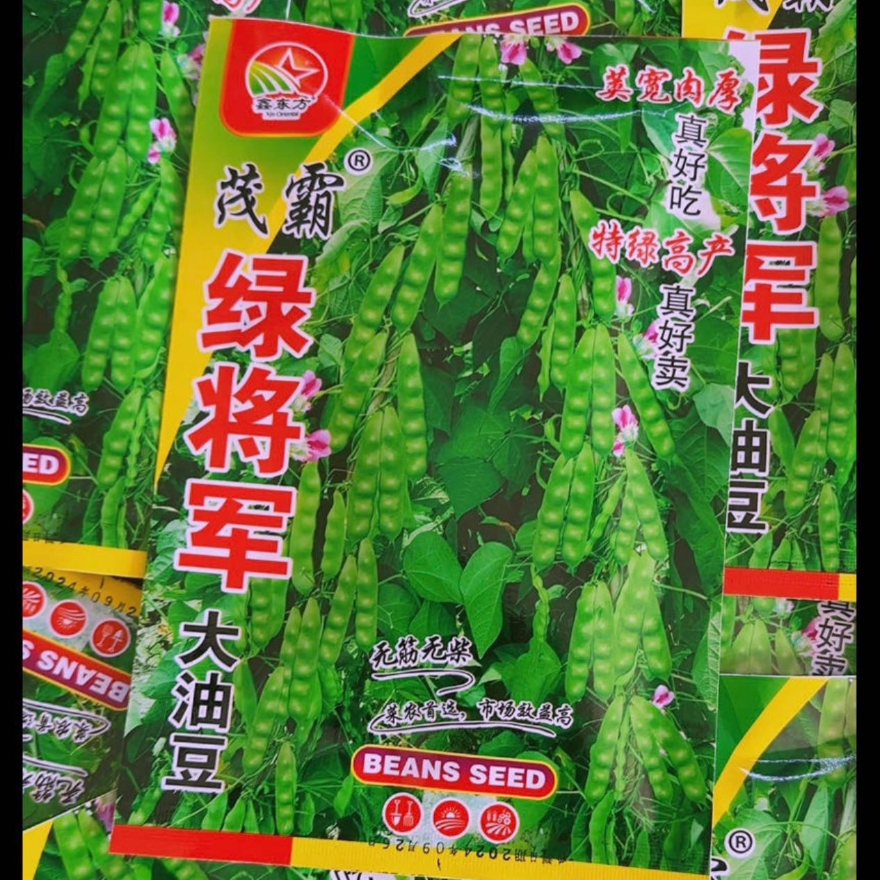 绿将军大油豆角籽