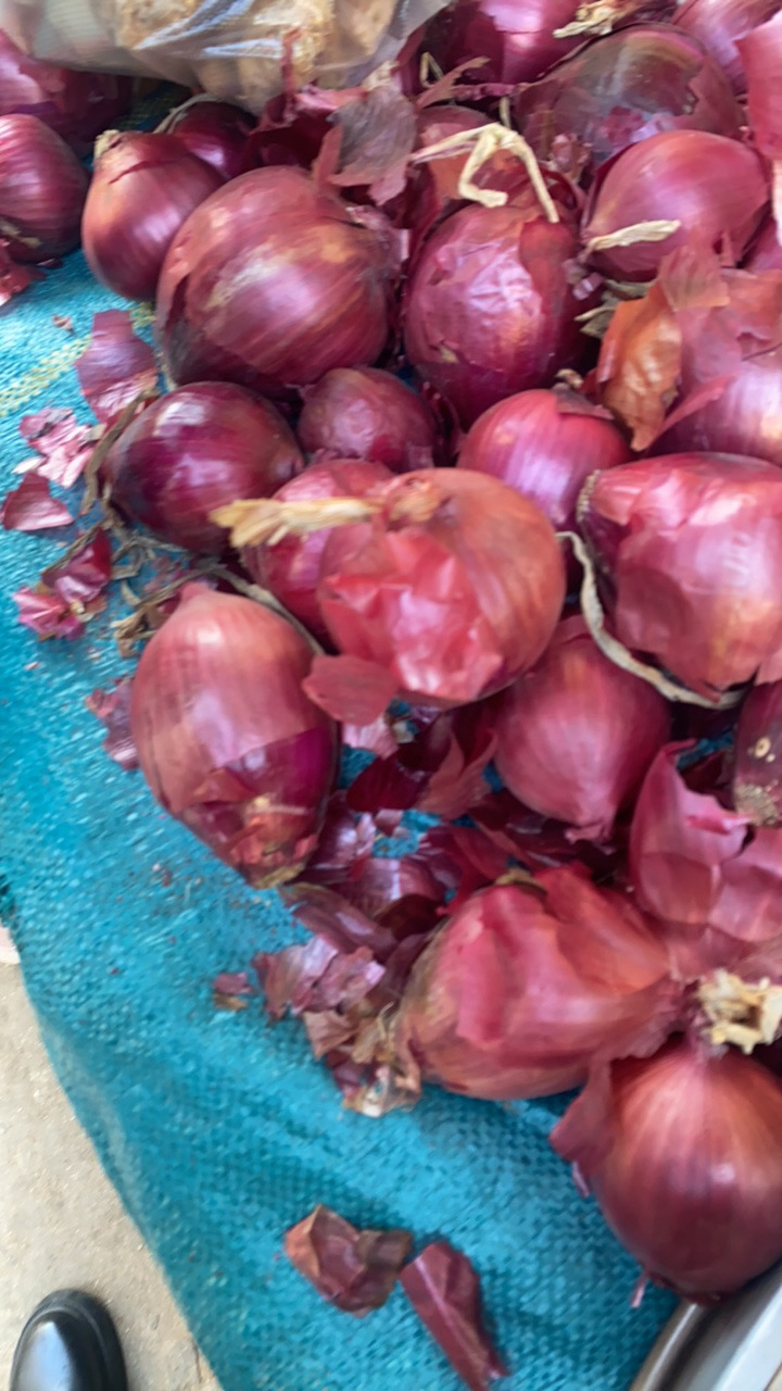 大洋葱云南大集现收山货 