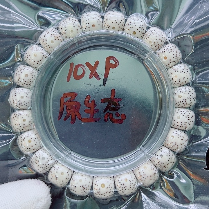 吊坠星月菩提10尺寸