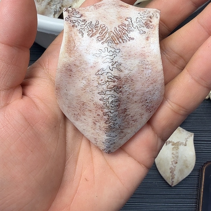 六***剑铁合金花岗石养殖鹿头骨制作三界牌