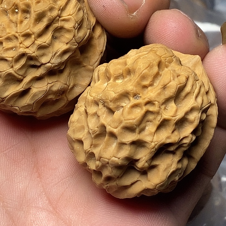 文玩核桃把件云南铁核桃153