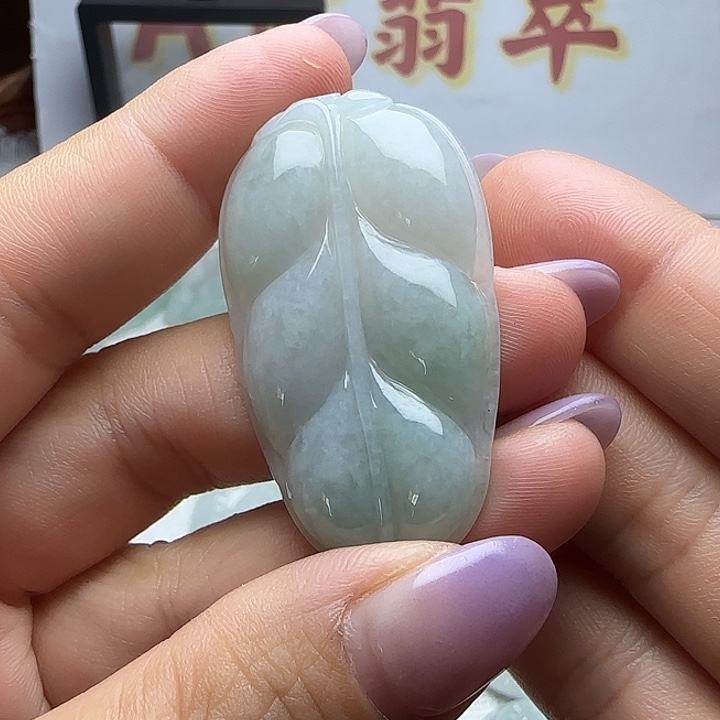 翡翠未镶嵌颈饰叶子