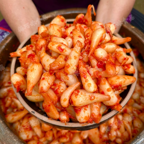 杨巧妹老坛酸辣荞头酸藠头辣椒酱酸辣脆爽即食下饭菜500克装