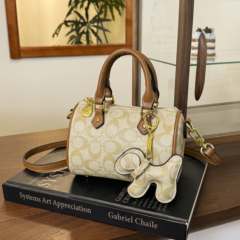 枕头包高档轻奢手拎包时尚百搭斜挎包高级感印花单肩包2025新款