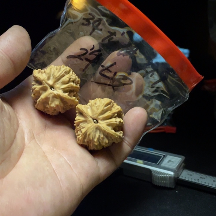 文玩核桃把件许*安龙珠