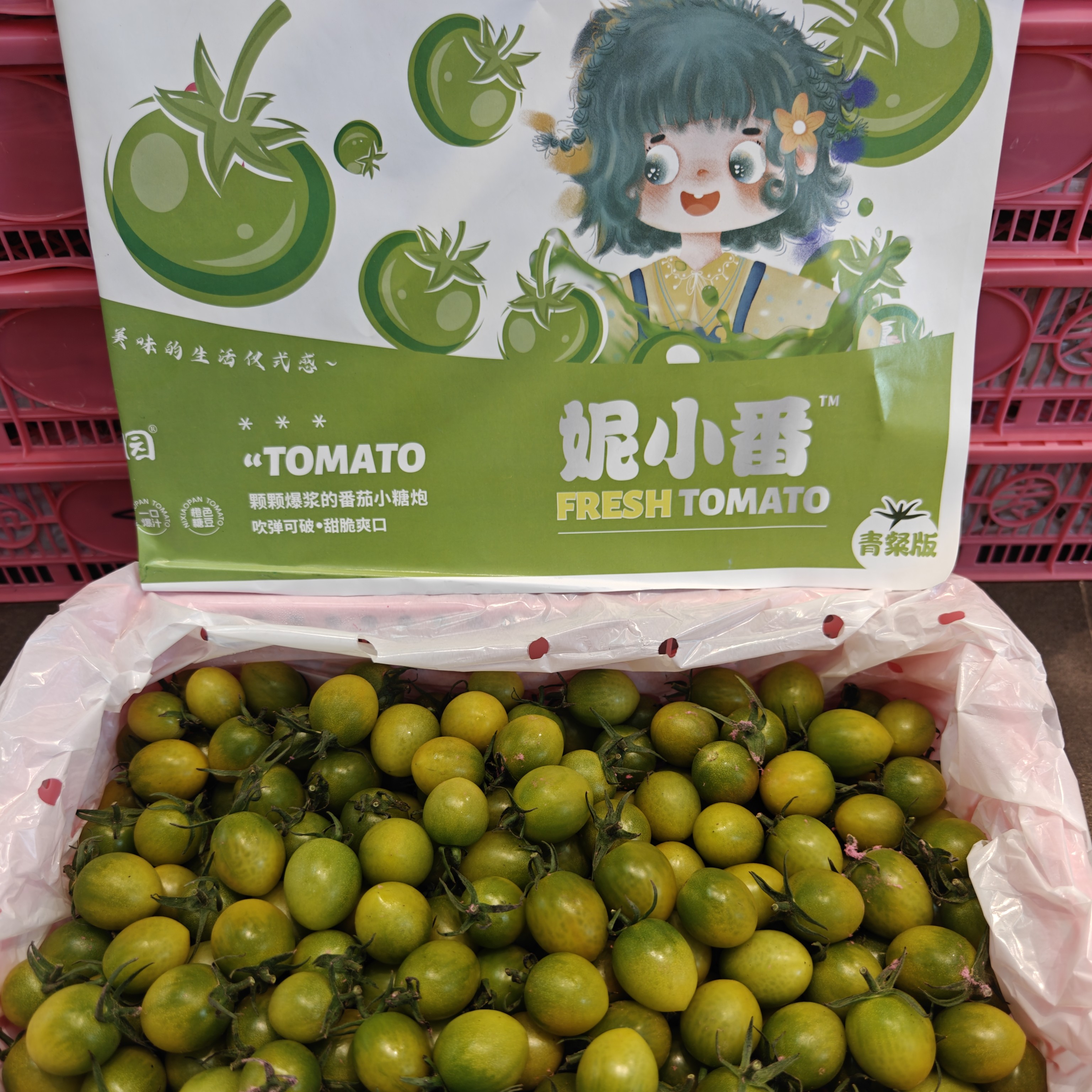 绿宝石小柿子 500g±20g绿宝石山东省山东省威海市