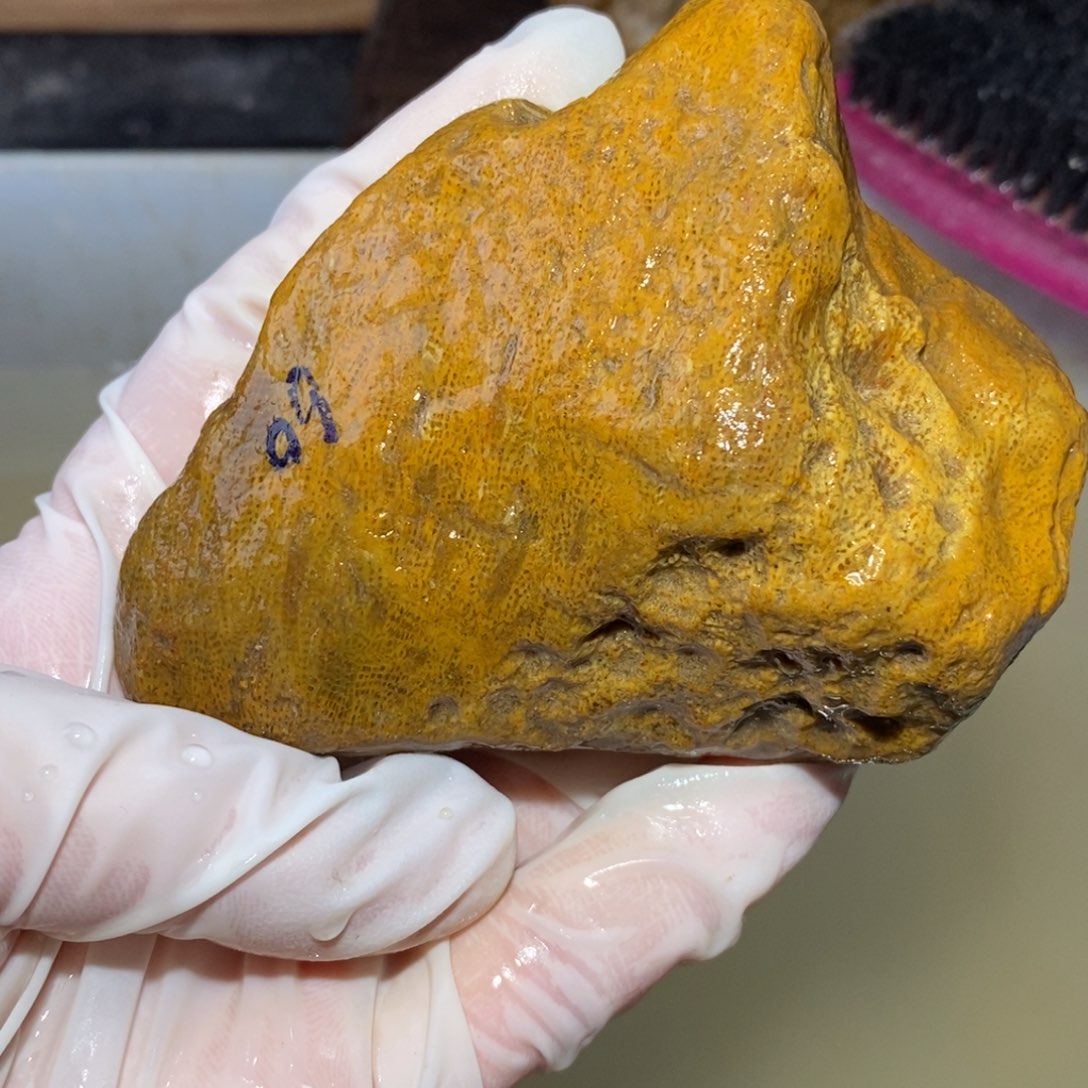 【闪购商品】硅化玉颈饰未镶嵌
