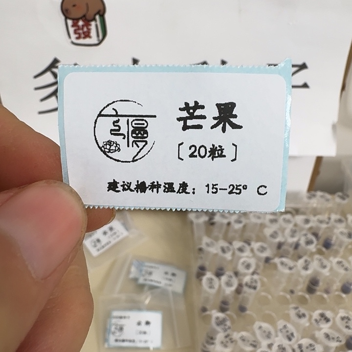 如图2025年芒果种子20粒不包出芽率