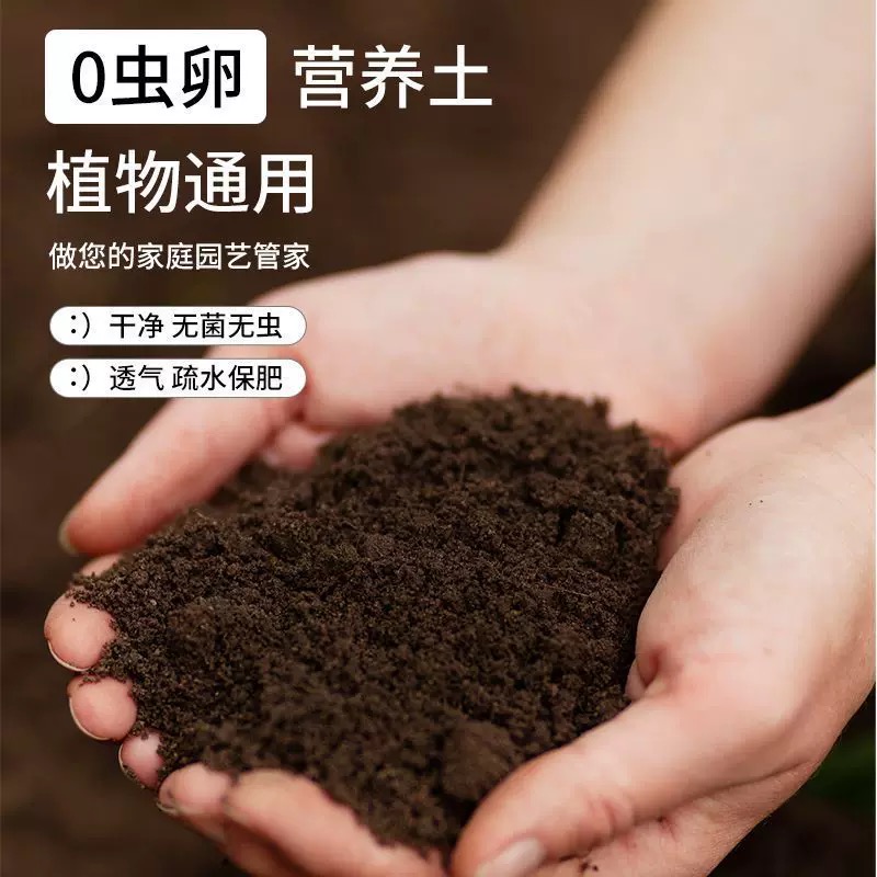 草莓苗基质营养土草莓育苗营养基质种菜养花盆栽育苗