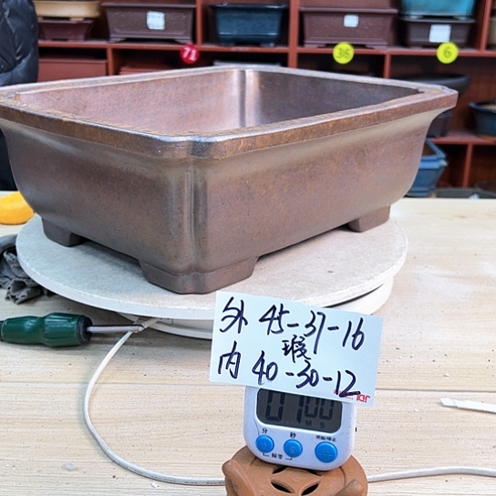 红陶青*哥紫砂花盆里放的东西