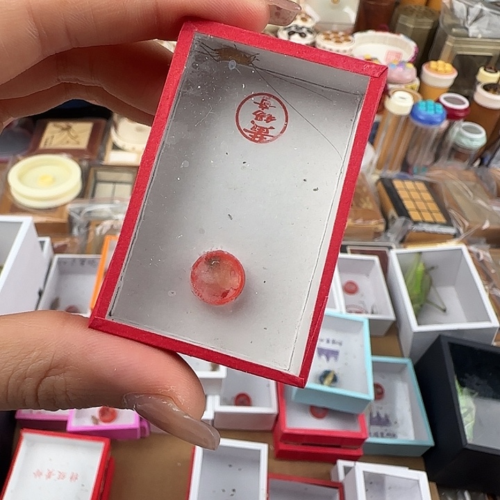 组***鱼蟋蟀黄锡奇中黄一只