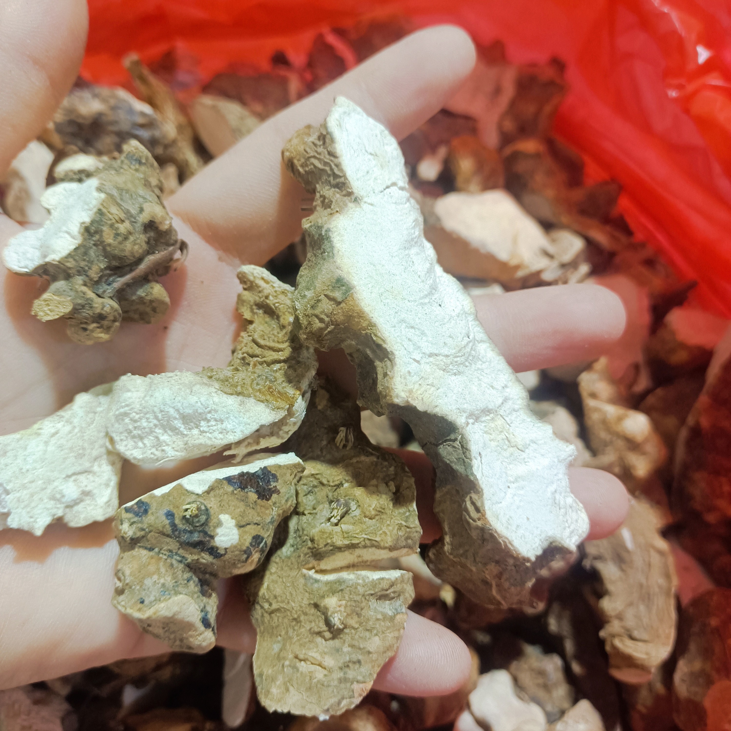 广西深山土茯苓野生干货500g包邮
