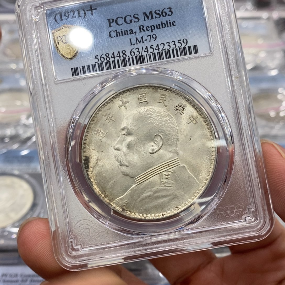 银Pcgs63十年大头3359