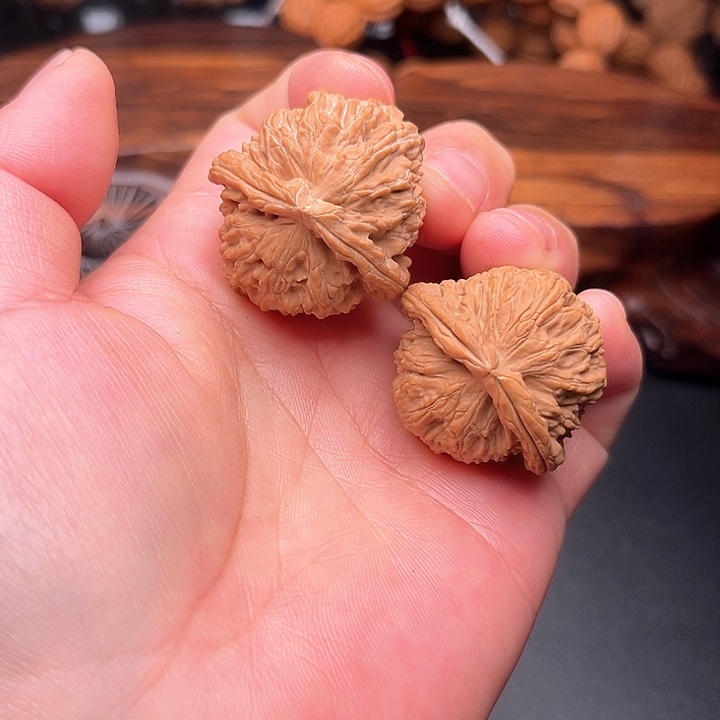 桃核把件核桃白狮子