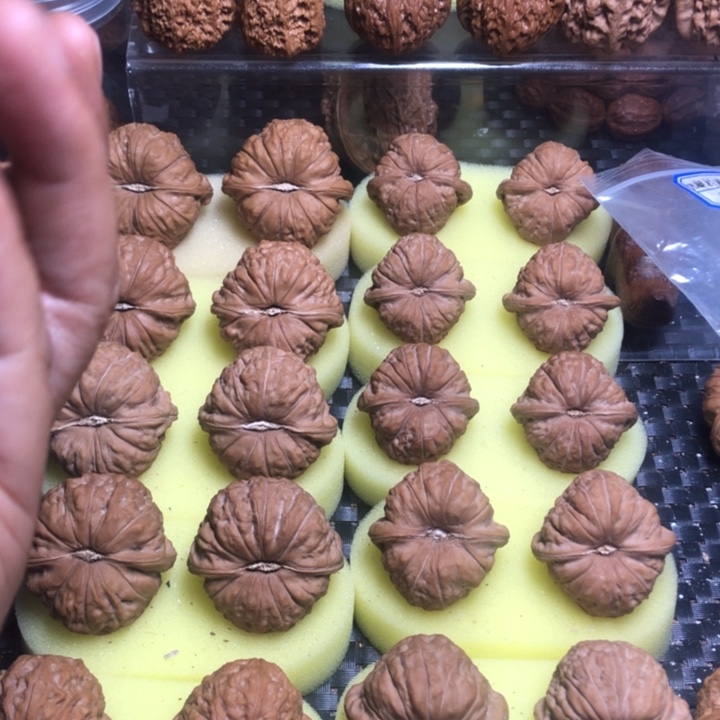 延***①大叶紫檀（黑酸枝木类）