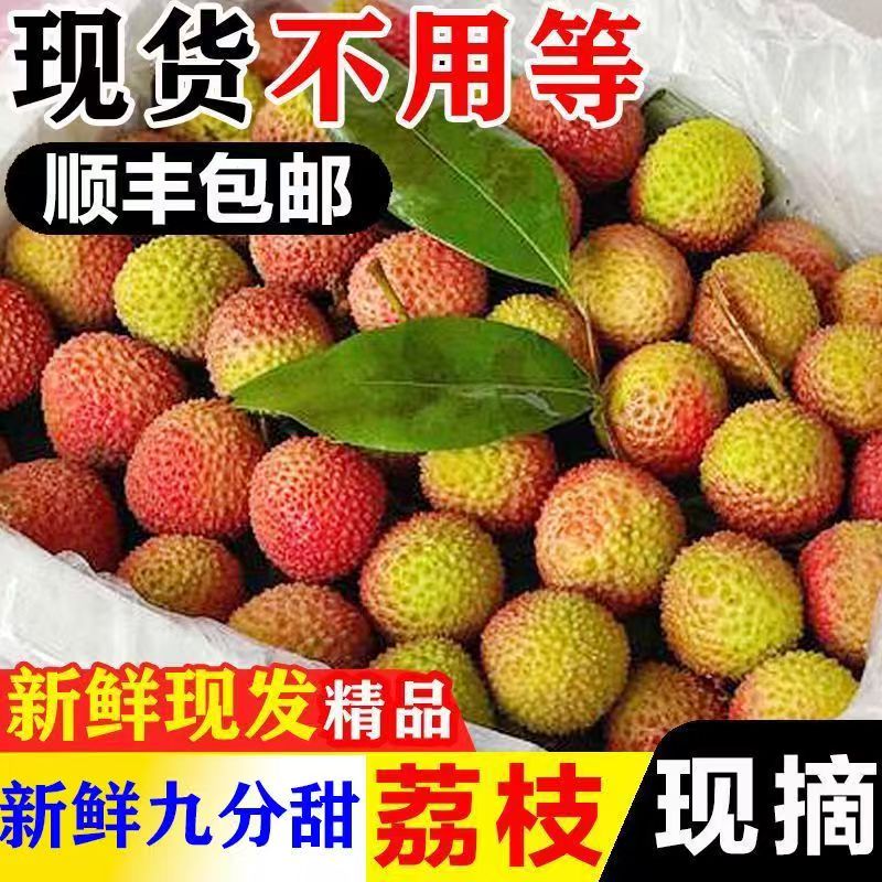 顺丰京东随机冷链妃子笑荔枝现摘现发香甜多汁核小应季水果