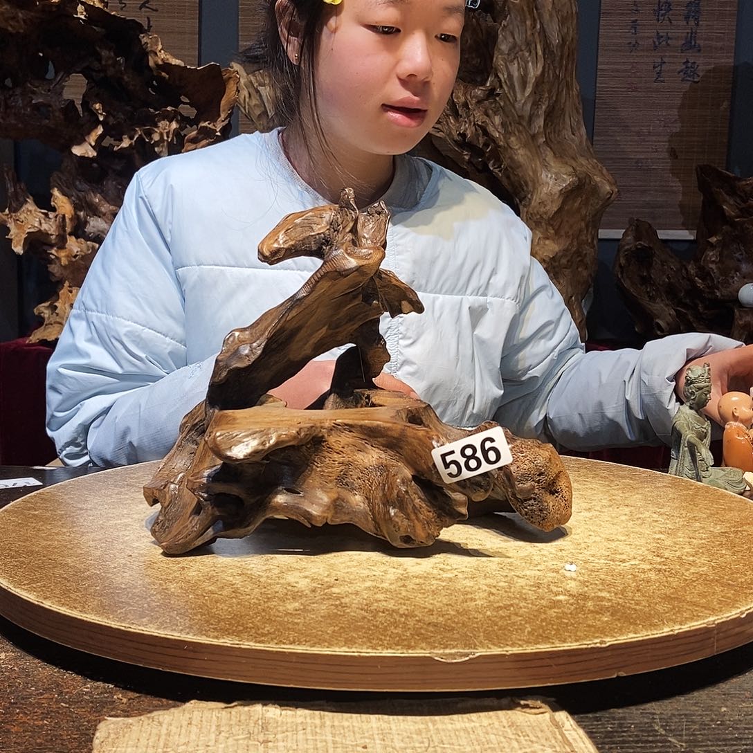 美***思586株木随行的小根艺