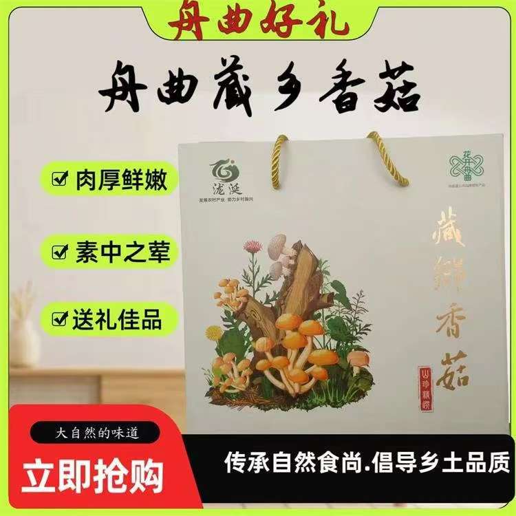 泷涎谷舟曲藏乡香菇250g*2礼盒