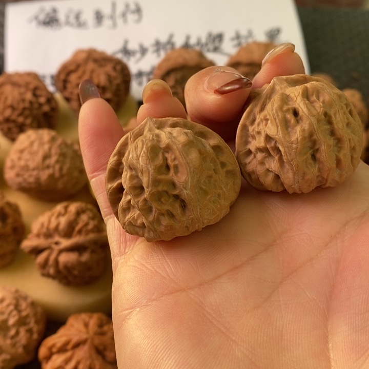 门头沟元宝无修无修无修无修