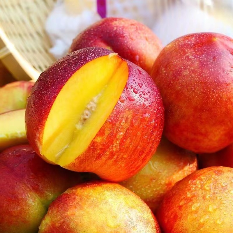 新鲜水果油桃1斤左右