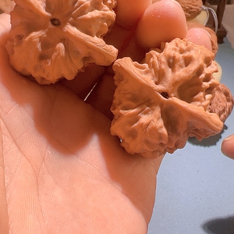 文玩核桃把件野狼38