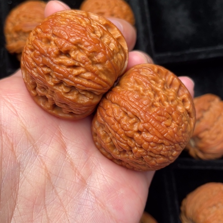 秦岭野生核桃文玩