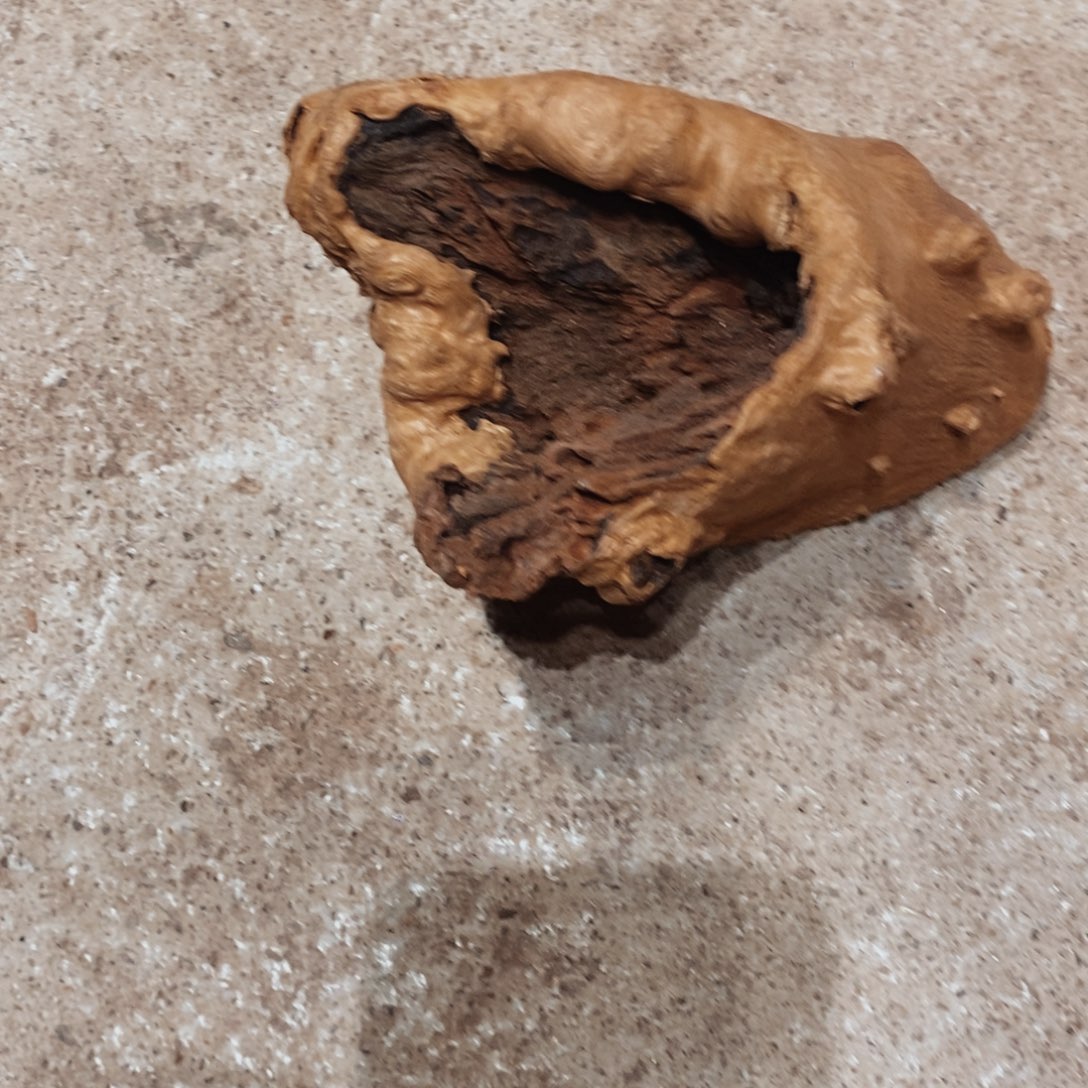 善***伍荔枝木随形木材一个