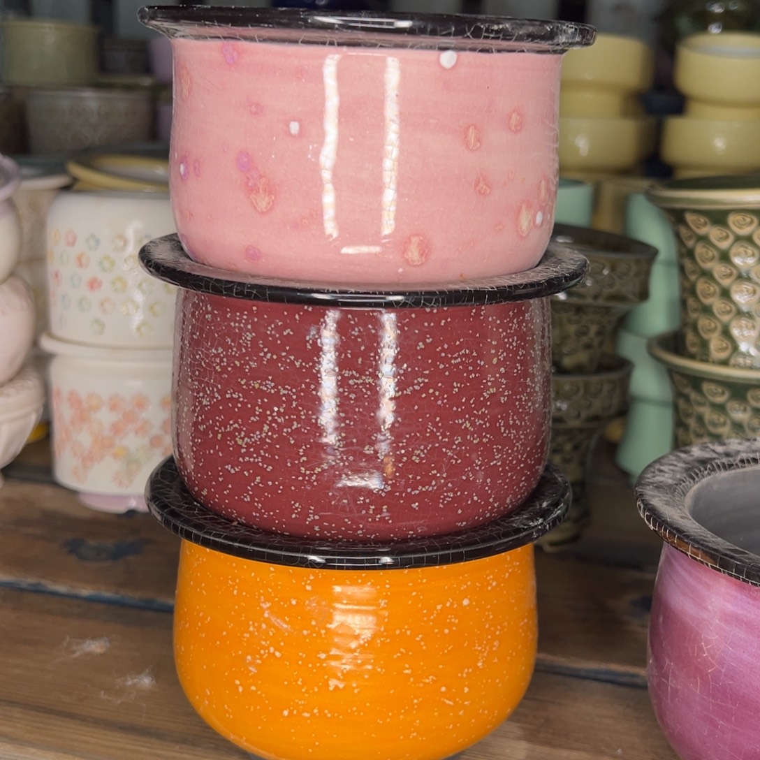 简***云从前慢多肉精选编号1231.122