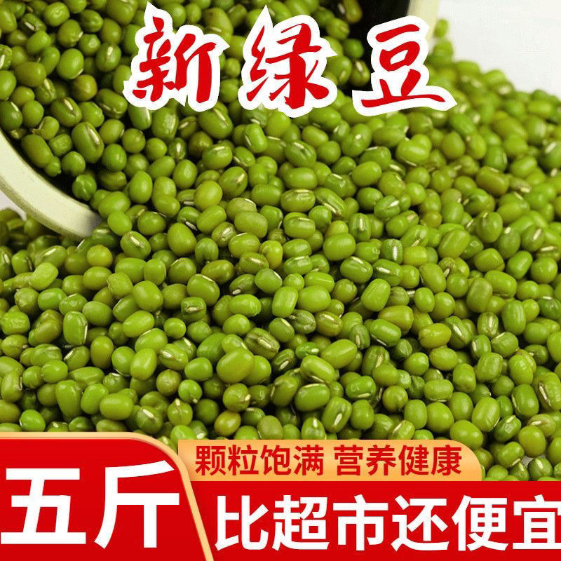 东北农家黑土地绿豆 小颗粒 颗颗翠绿 绿豆生芽 熬绿豆汤