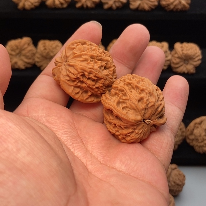 蜈***蚣核桃野生文玩核桃等得