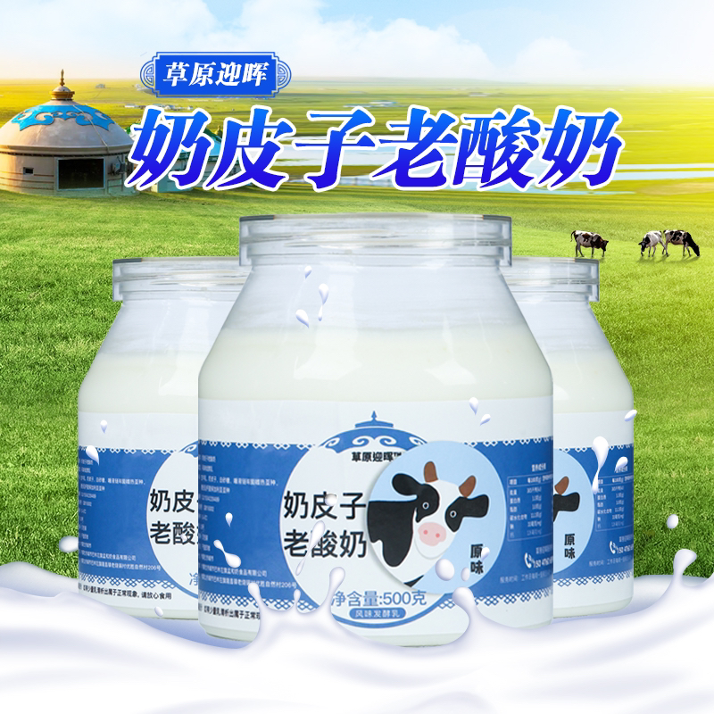 奶皮子老酸奶大桶发酵500g奶皮子酸奶