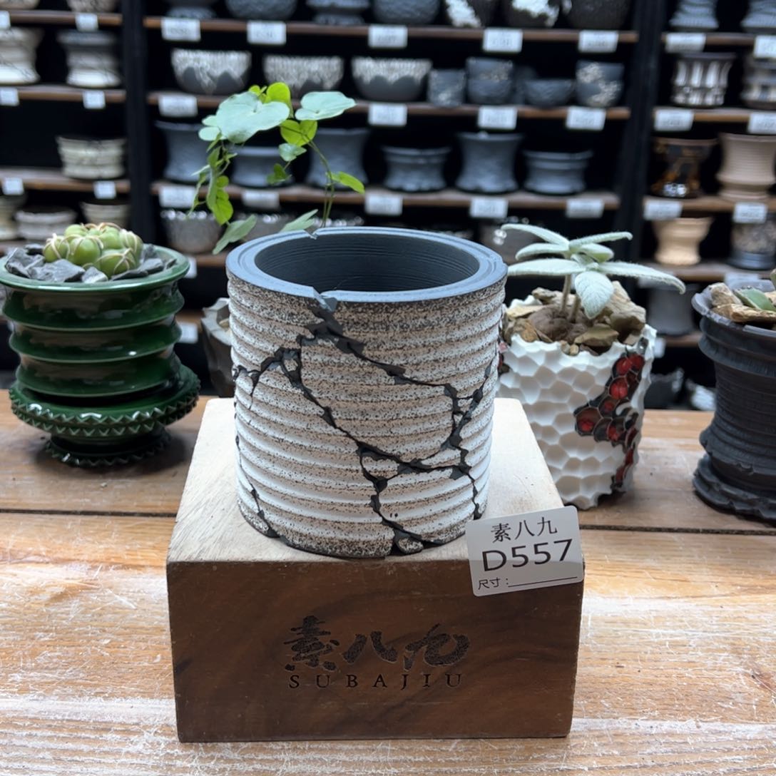 素八九陶瓷内口8高9.5