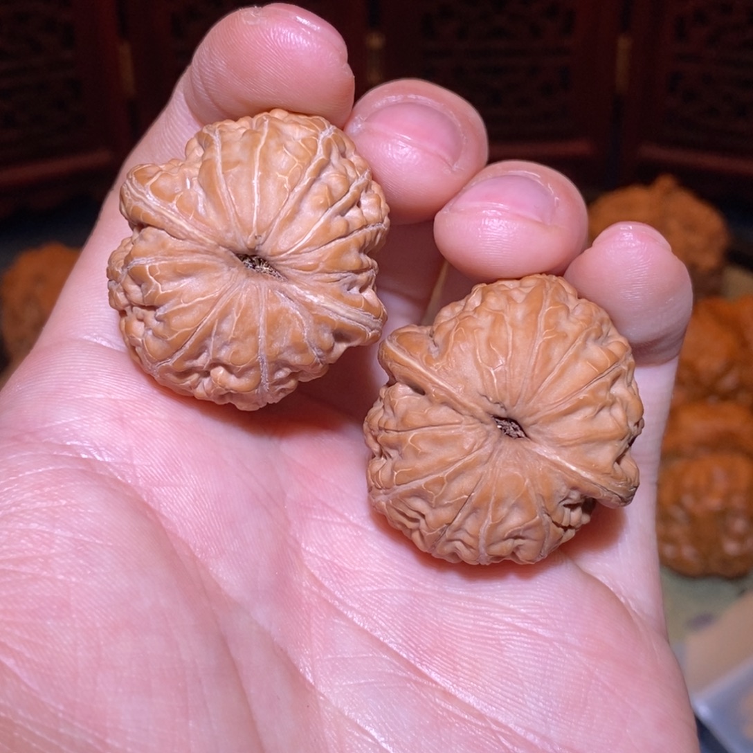 木***士34尺 全品白茬 元宝