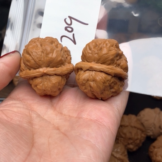 桃核吊坠209蛙蛙蛙蛙